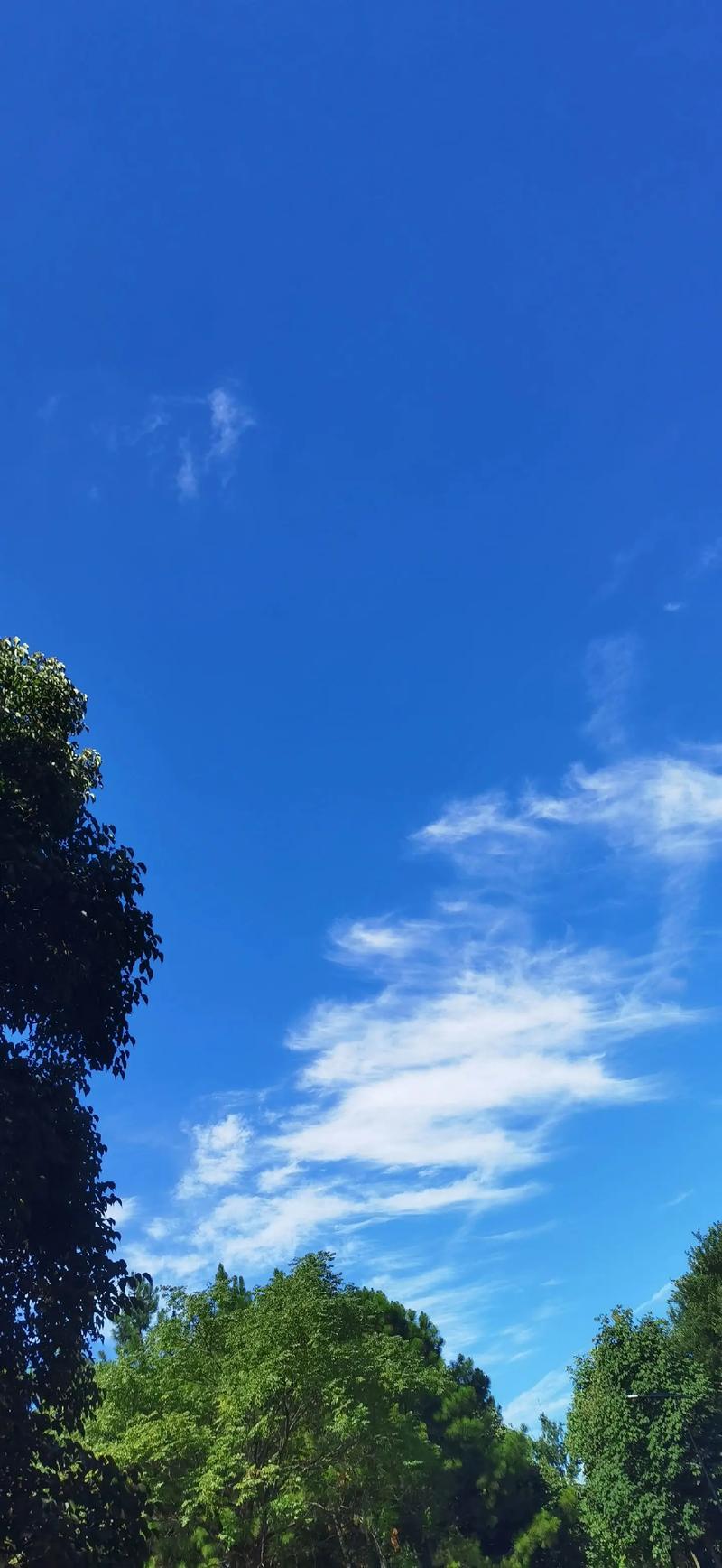 今日天气天气晴朗，今日天气天气晴朗英文？-第2张图片-优品飞百科