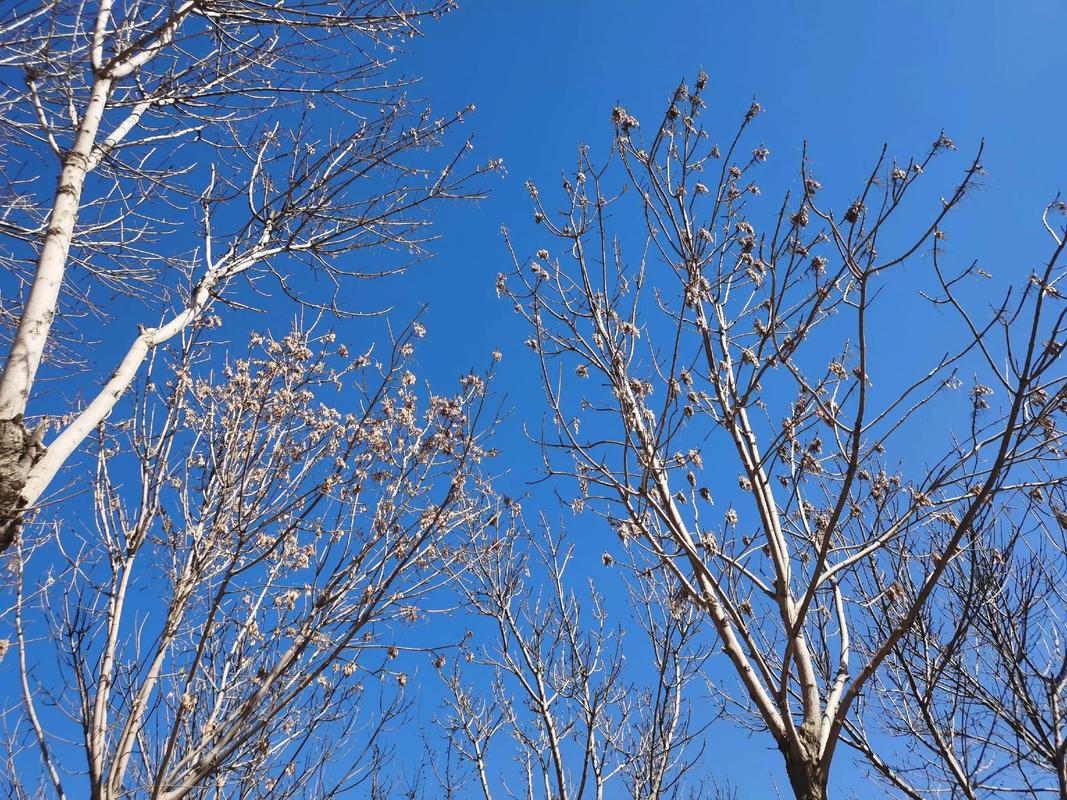 今日天气天气晴朗，今日天气天气晴朗英文？-第5张图片-优品飞百科