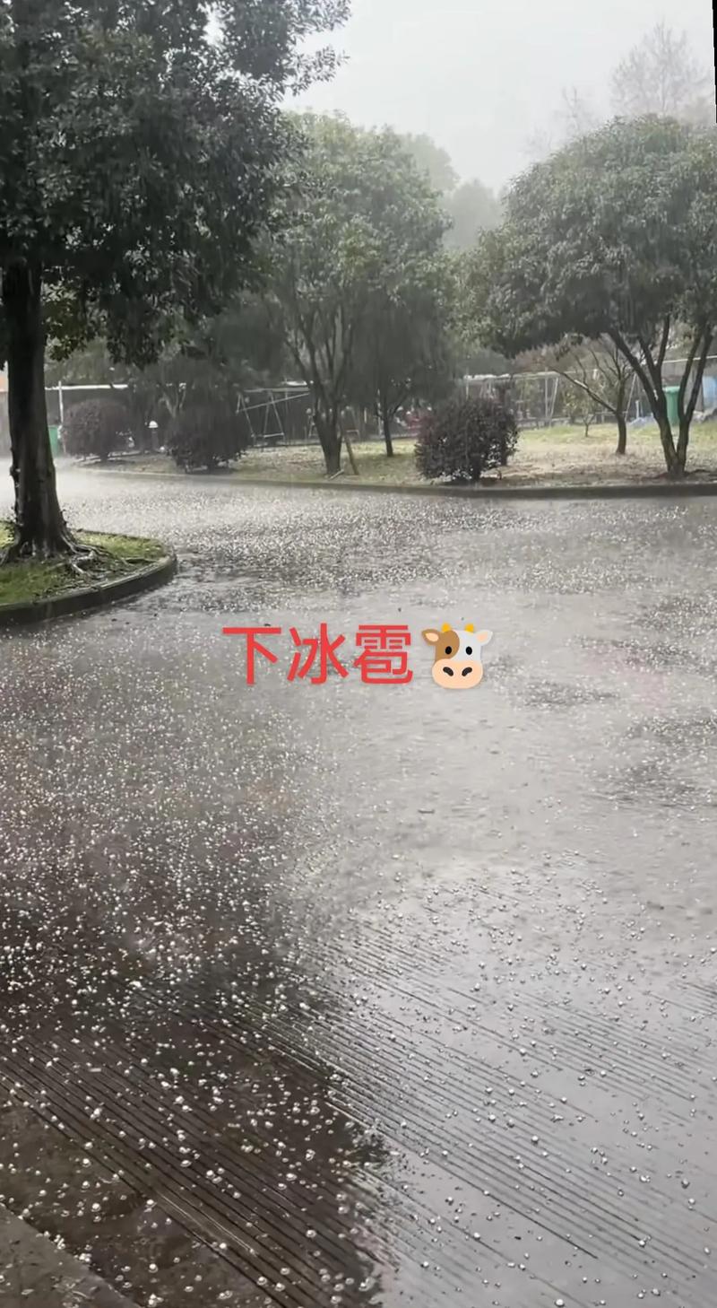 今日大邑天气预报，明日大邑天气预报？