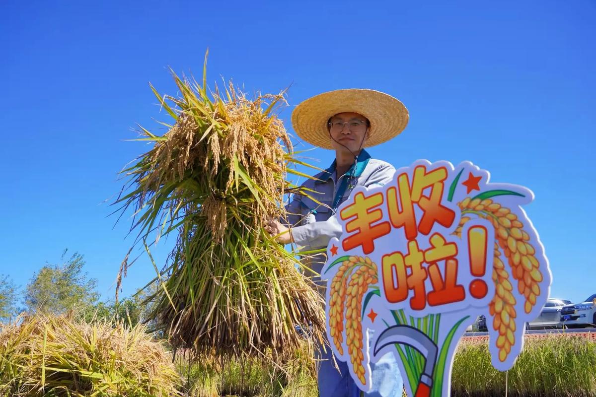 今日天气预报孝昌，孝昌天气预报40天查询？-第4张图片-优品飞百科