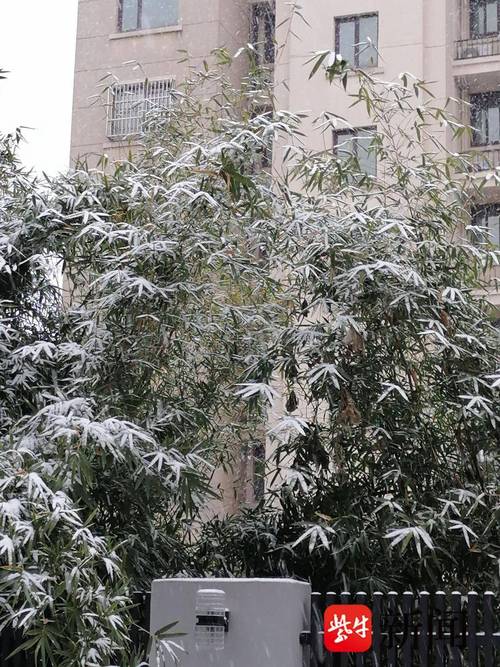 无锡今日天气照片，无锡市今天天气怎么样-第2张图片-优品飞百科