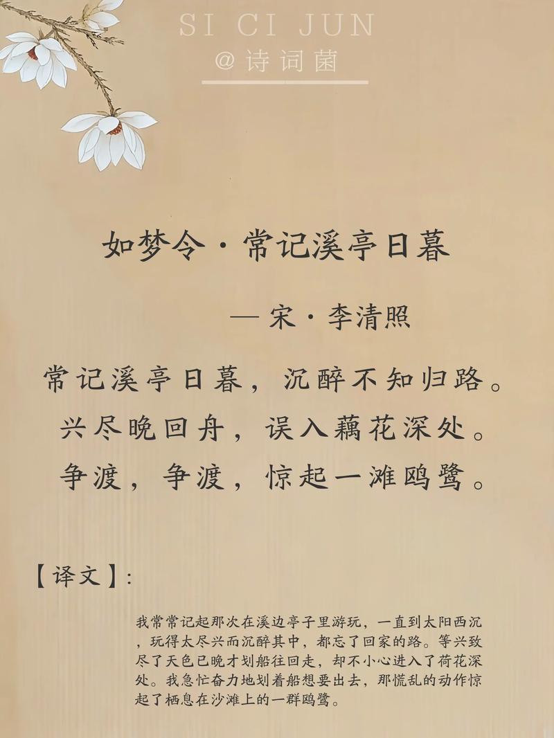 浙林花溪今日天气？大和号战列舰宣传片？