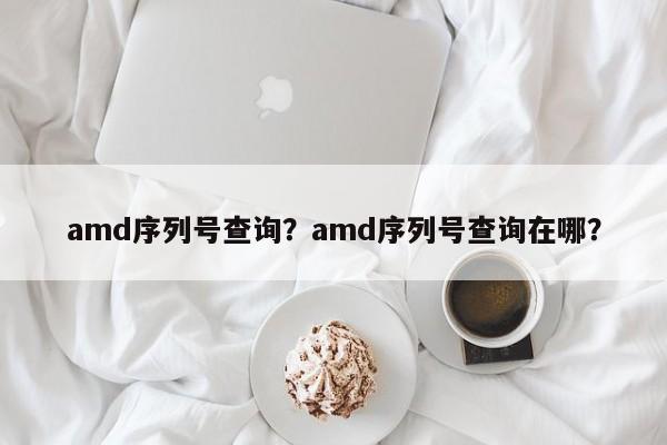 amd序列号查询？amd序列号查询在哪？