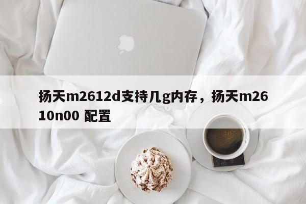 扬天m2612d支持几g内存，扬天m2610n00 配置